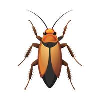 Realistic Roach on a Leaf vector