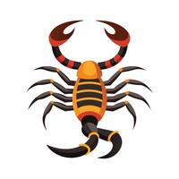 Realistic Scorpion on White Background vector