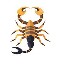Stylized Scorpion for Educational Use vector