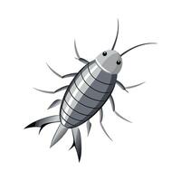 Stylized Silverfish for Educational Use vector
