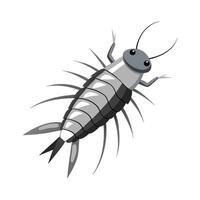 Realistic Silverfish Character vector