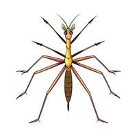 Cute Stick Insect Character Digital Art vector