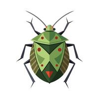 Stylized Stink Bug for Educational Use vector
