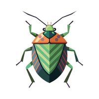 Stylized Stink Bugs for Educational Use vector