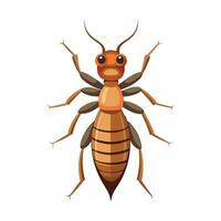 Realistic Termite on a Leaf vector
