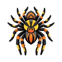 Charming Tarantula for Educational Use vector