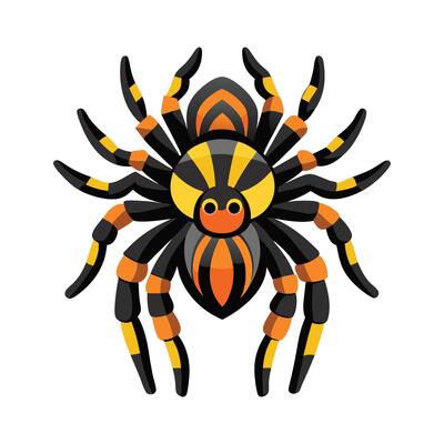 Charming Tarantula for Educational Use