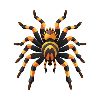 Stylized Tarantula for Fun Learning