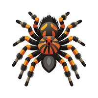 Cute Tarantula Character on a Leaf vector
