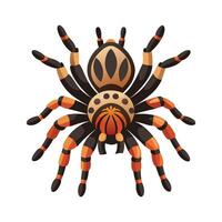 Charming Tarantula Character in Nature vector