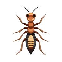 Stylized Termite for Educational Use vector