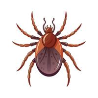 Stylized Ticks for Educational Use vector