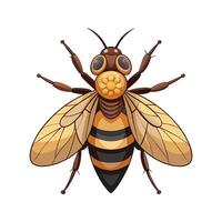 Volucella Pellucens Unique Art vector