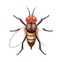 Stylized Tsetse Fly for Educational Use vector