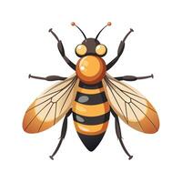 Volucella Pellucens Artistic Design vector
