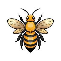 Andrena Fulva Artistic Representation vector