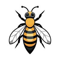 Anthophora Plumipes Artistic Representation vector