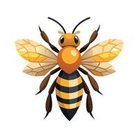 Apis Mellifera Creative Art vector