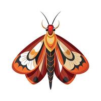 Arctia Caja Unique Artwork vector