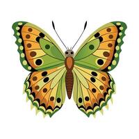 Argynnis Paphia Creative Graphic Design vector