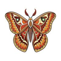 Attacus Atlas Artistic Graphic Design vector