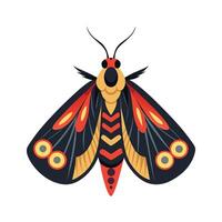Automeris Belti Unique Graphic Design vector