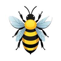 Bombus Dahlbomii Creative Design vector