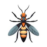 Brachygastra Lecheguana Creative Art vector
