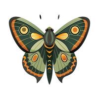 Caligo Eurilochus Creative Graphic Design vector