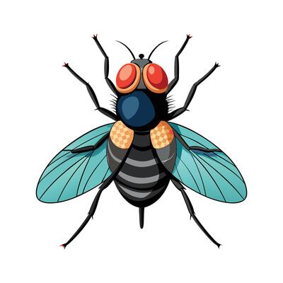 Calliphora Vicina Unique Artwork