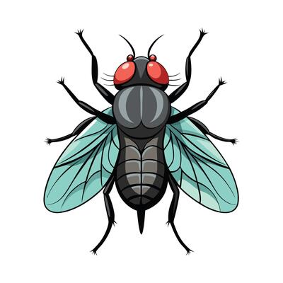 Calliphora Vicina Stunning Design