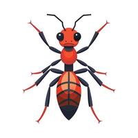 Camponotus Gigas Unique Representation vector