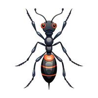 Camponotus Pennsylvanicus Stunning Art vector
