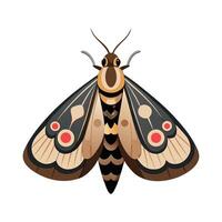 Catocala Fraxini Unique Design vector