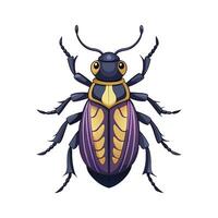 Chlamisus Sp Engaging Artwork vector