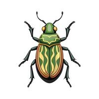Chlamisus Sp Artistic Graphic Design vector