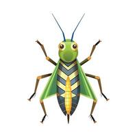 Chorthippus Parallelus Stunning Representation vector