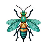 Chrysis Ignita Stunning Design vector