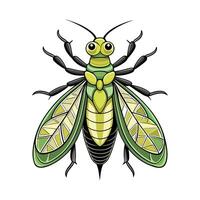 Chrysopa Perla Unique Artistic Representation vector