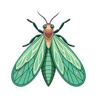 Chrysoperla Carnea Stunning Artwork vector