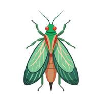 Chrysoperla Carnea Engaging Art vector