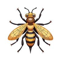 Chrysops Relictus Artistic Representation vector