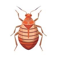 Cimex Lectularius Engaging Artwork vector