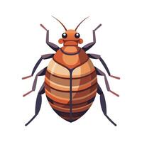 Cimex Lectularius Artistic Design vector