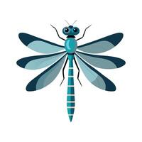 Coenagrion Puella Stunning Representation vector