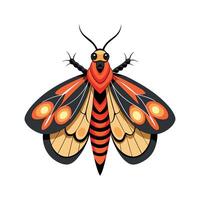 Citheronia Regalis Unique Design vector
