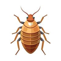 Cimex Lectularius Unique Design vector