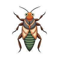 Corixa Punctata Stunning Representation vector