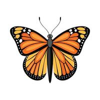 Danaus Plexippus Unique Representation vector