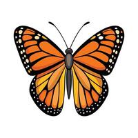 Danaus Plexippus Creative Graphic Design vector